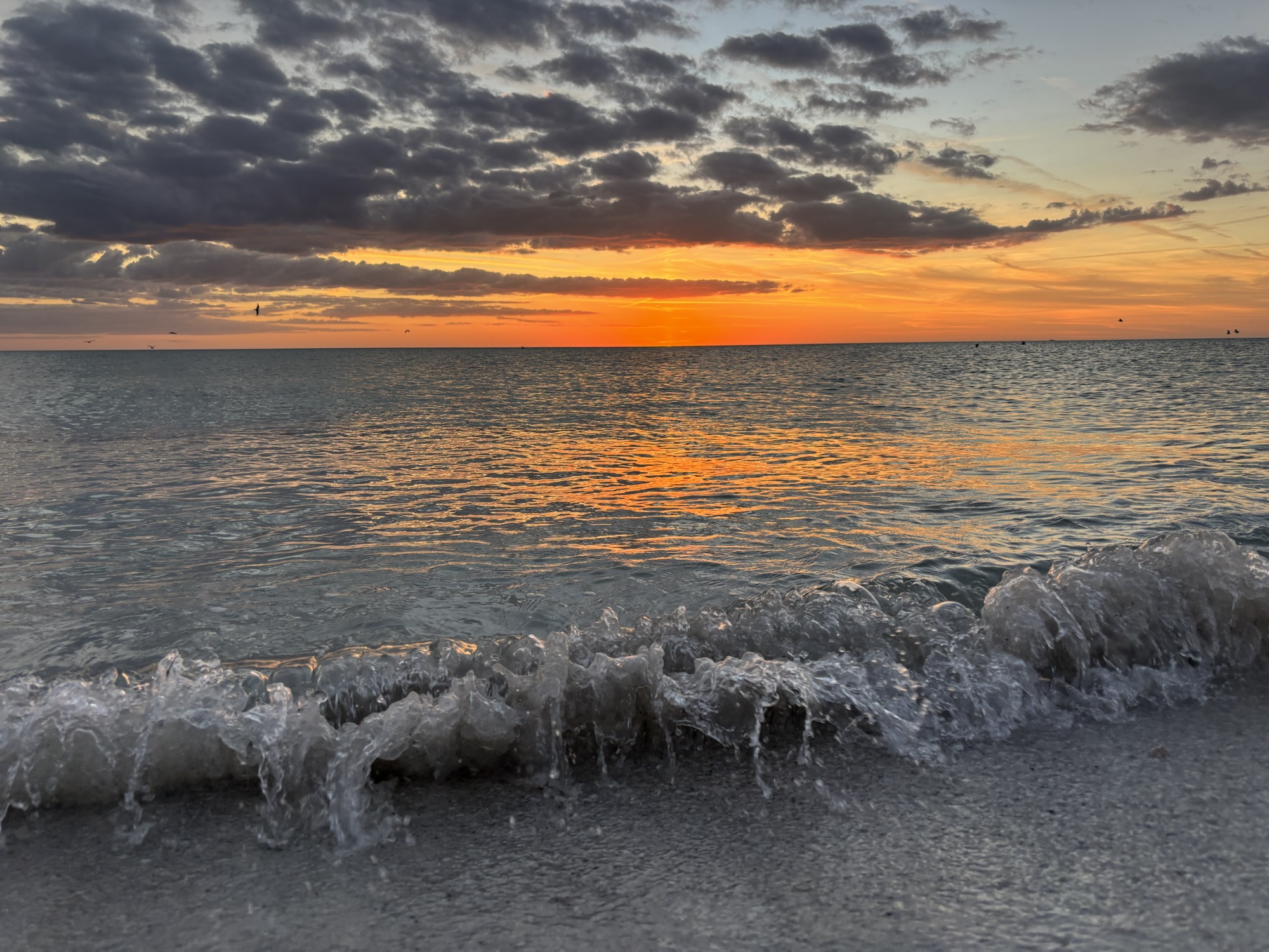 The Hidden Charm of Anna Maria Island, Florida